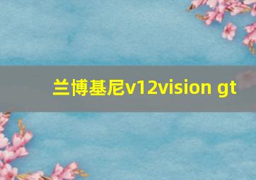 兰博基尼v12vision gt